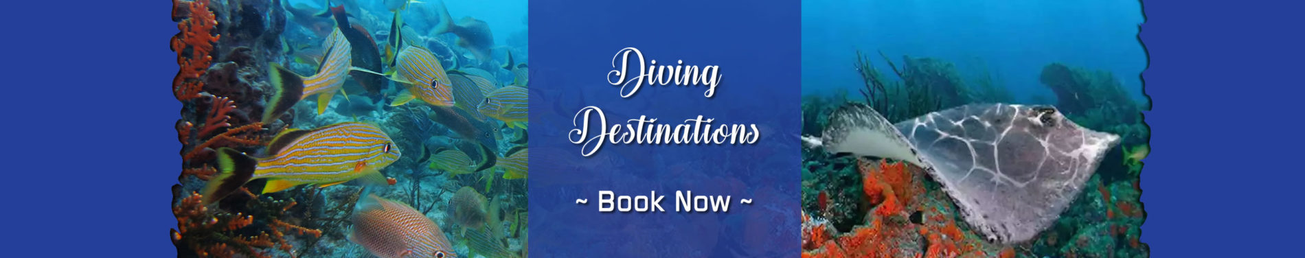 YKnot Key West Charters - Diving Destinations